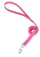 Laisse assortie harnais petit chien | léopard