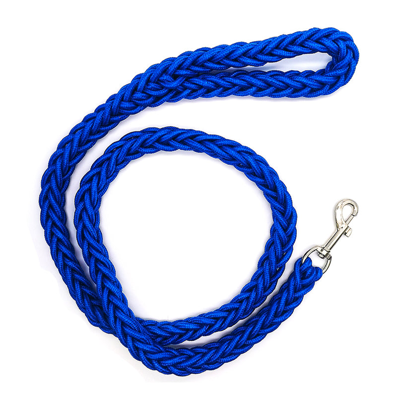 laisse chien ergonomique bleu