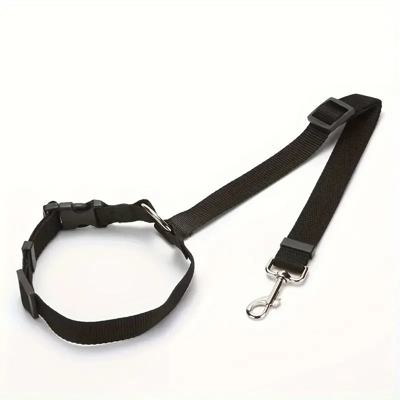 laisse chien sécurité voiture-noir