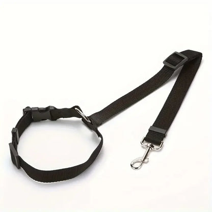 laisse chien sécurité voiture-noir