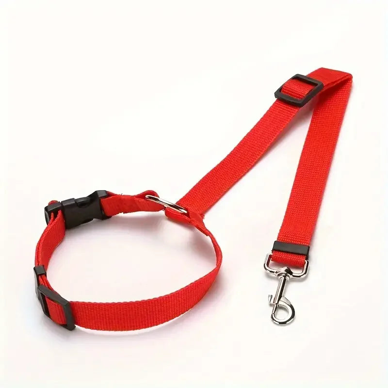 laisse chien sécurité voiture-rouge