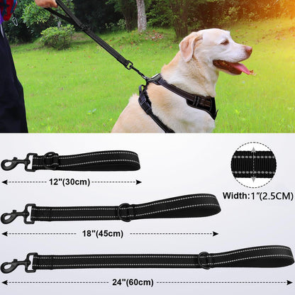 laisse de chien ergo comfort-tailles