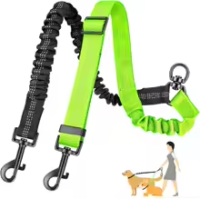laisse double pour chien anti-emmelement vert-noir