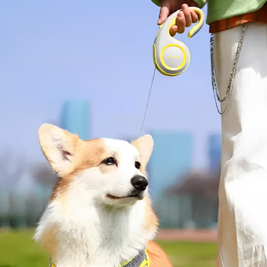 laisse enrouleur PuppyFreedom chien assis