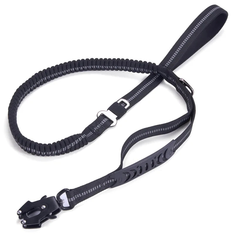 laisse pou rchien frog-clip noir