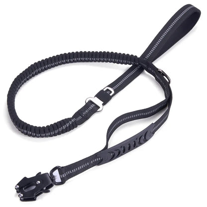 laisse pou rchien frog-clip noir