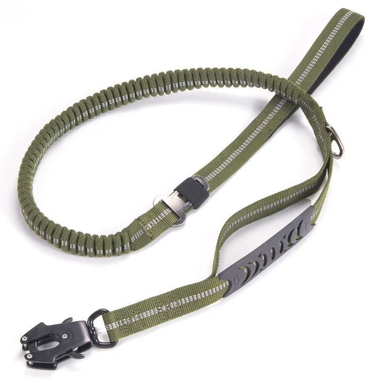 laisse pour chien frog-clip vert