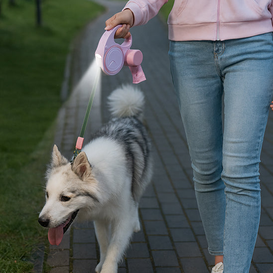 laisse pour chien LED et sac poubelle balade nocturne parc