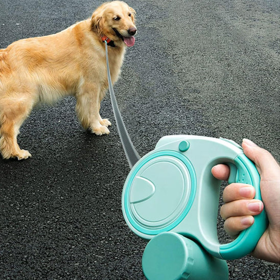 laisse pour chien LED et sac poubelle chien balade
