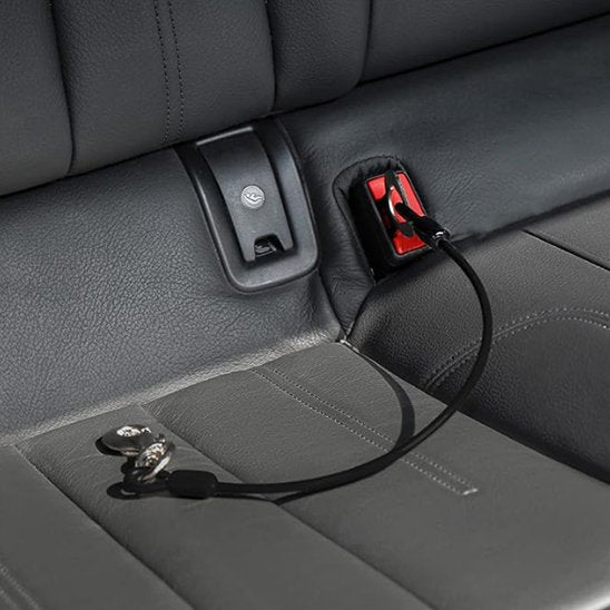 laisse pour chien securité auto attachée
