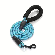 laisse pour chien solide-bleu
