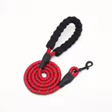 laisse pour chien solide-rouge