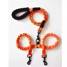 laisses pour chiens orange
