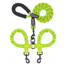 laisses pour chiens vert