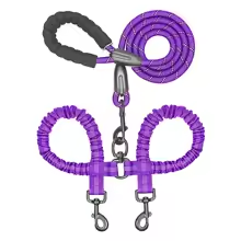 laisses pour chiens violet