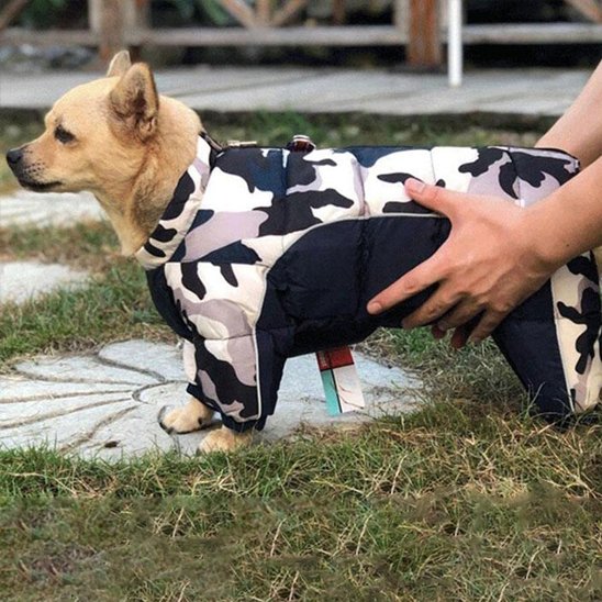 manteau pour chien imperméable Premium-noir