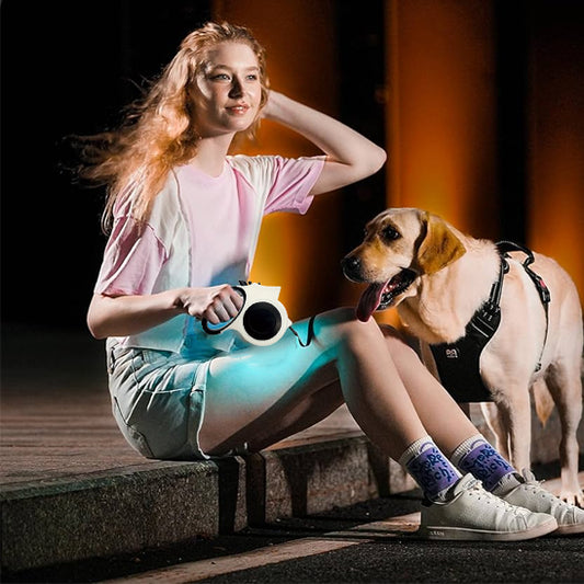 nuit; femme assise labrador avec laisse enrouleur eclairée