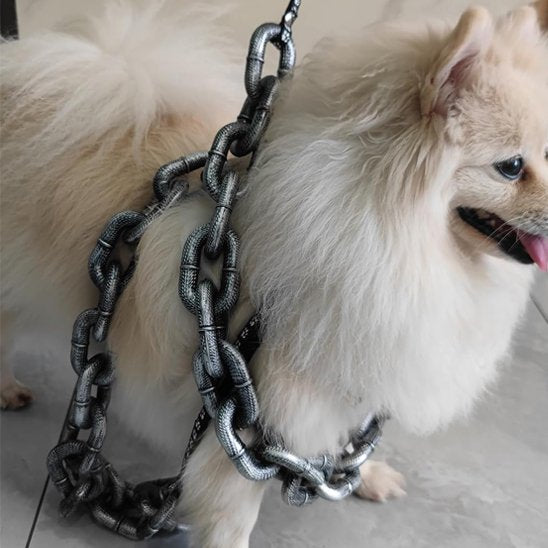 petit chien avec laisse chien Hallowween décorative enroulée