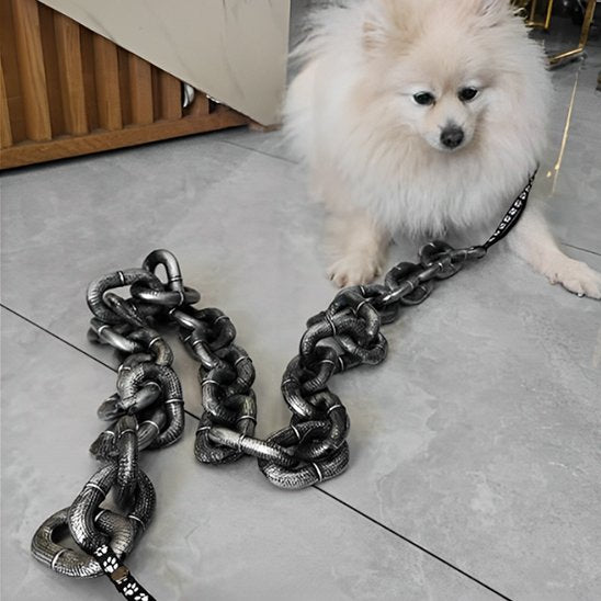 petit chien couché portant laisse chien Hallowween décorative