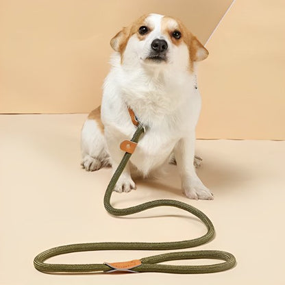 petit chien portant laisse chien tressée ajustable