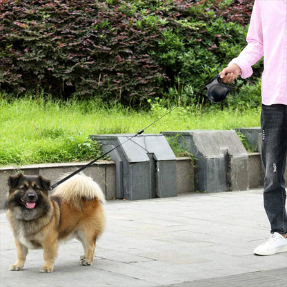 petit chien portant laisse enrouleur eclarée-balade ville