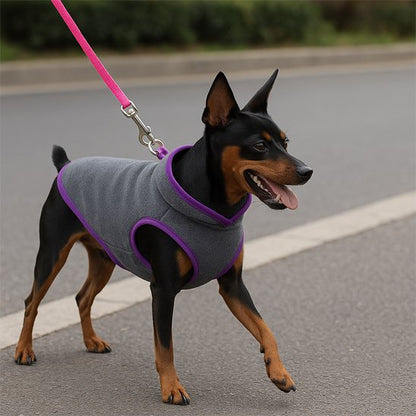 Pinscher portant manteau pour chien Cozy-gris, balade
