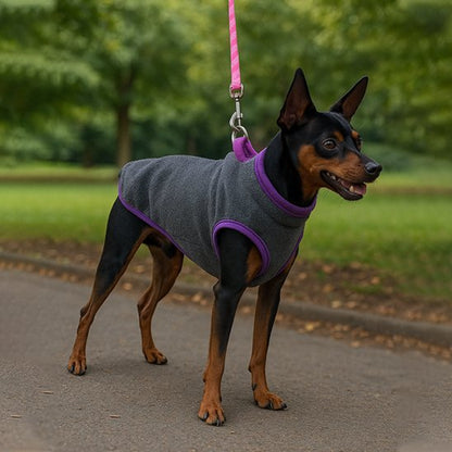 Pinscher portant manteau pour chien Cozy-gris, parc
