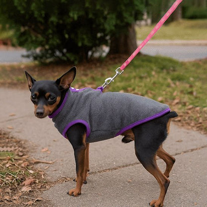 Pinscher portant manteau pour chien Cozy-gris