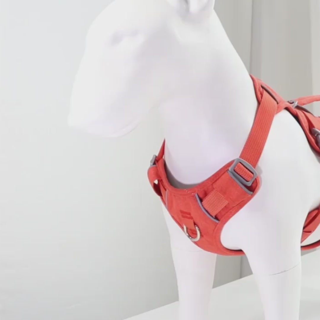 harnais pour chien anti-fuite-gif