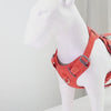 harnais pour chien anti-fuite-gif
